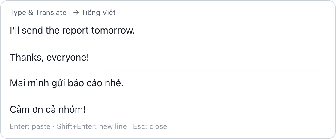 The Type & Translate box with an English message and its Vietnamese translation below